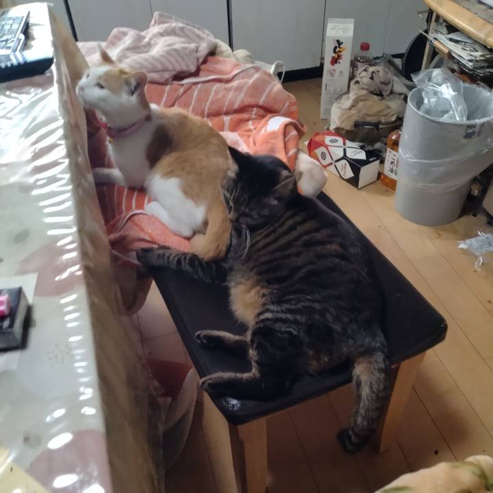 84073a93 167c 4887 bf45 ccf04f879e99 1740365709135