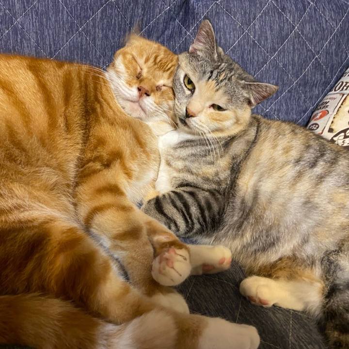 84076737 3de4 4c07 b692 8ba57d71e75e 1620991426176