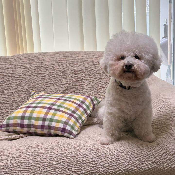 84076be4 1862 4932 bdcf 041ab54f0930 1765853723774