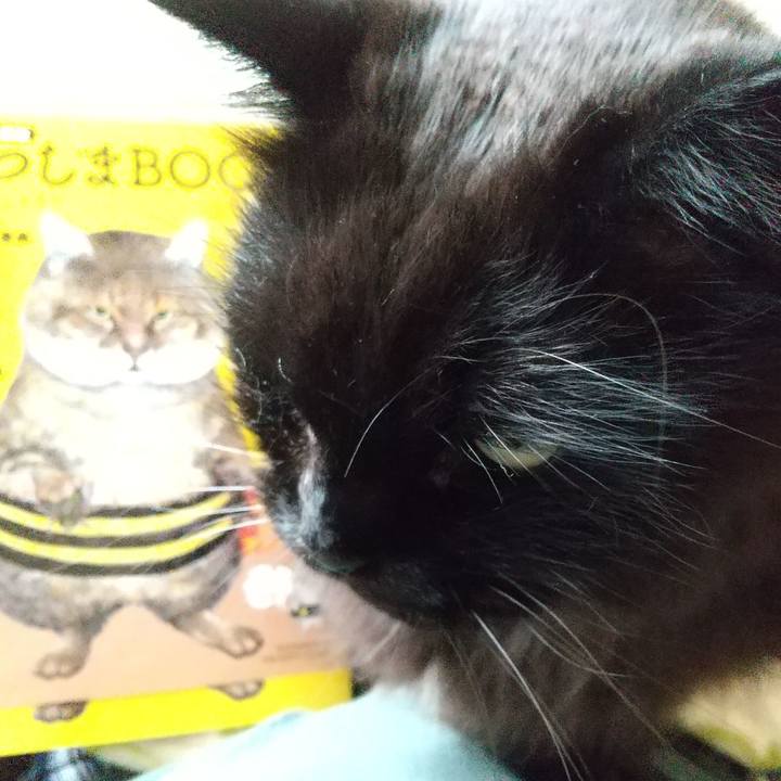 84079bb8 4f05 4164 8029 f8ab060c5396 1624336983557