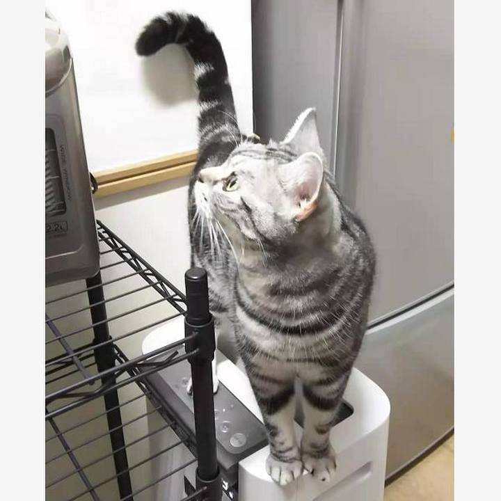 8407a018 ba2a 46dd 9d8d e596ed286896 1609205084935