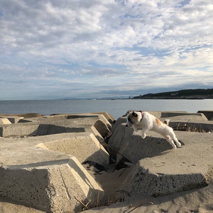 8407bcf2 45af 4862 a2f8 da119fdc461a 1602457256388