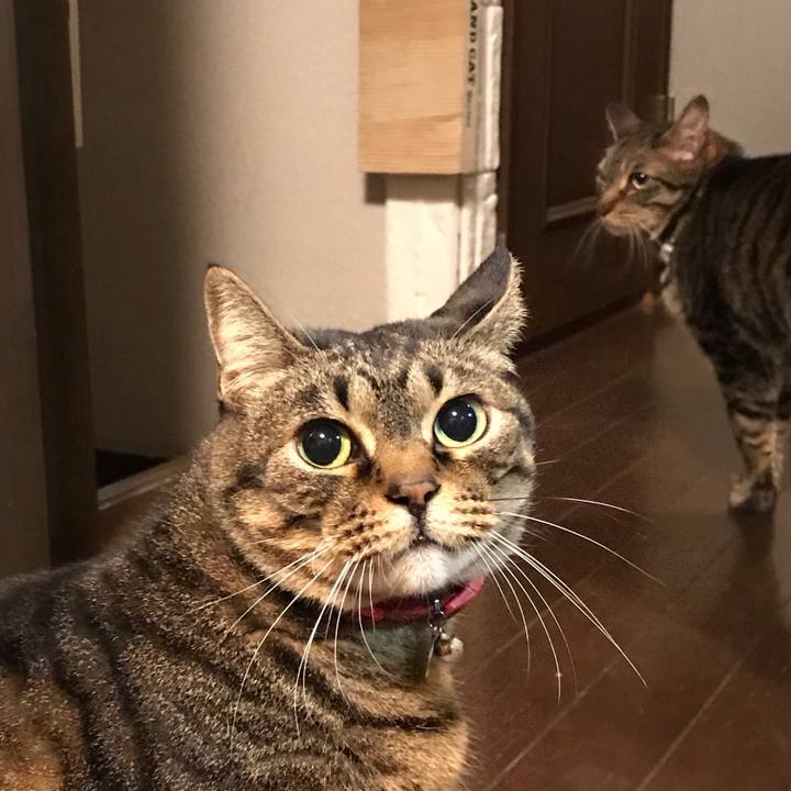 8407d929 7c0c 4d7b 908a 12e5d4d8667e 1584361412768