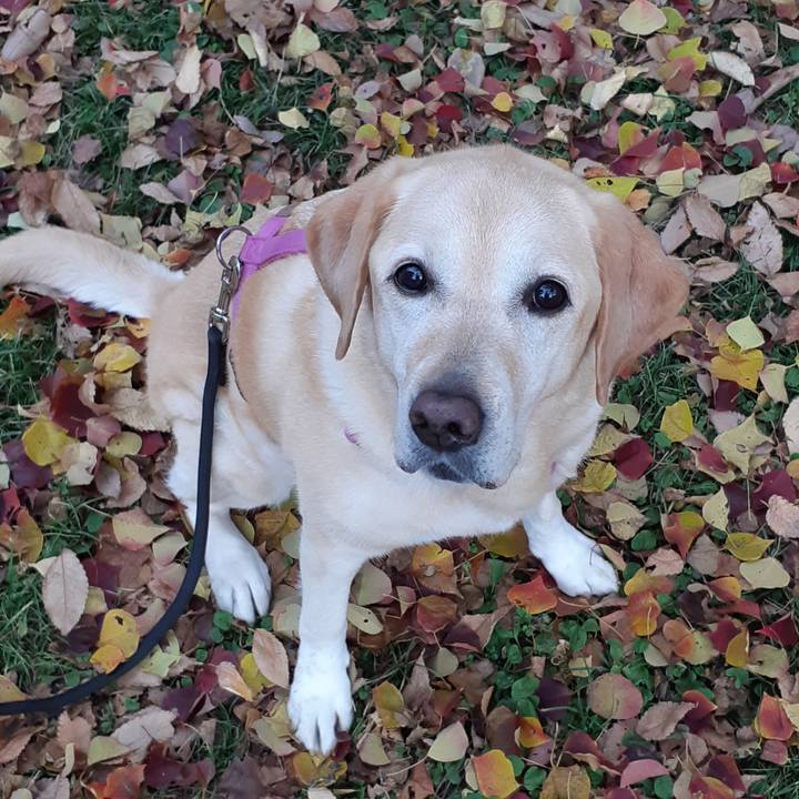 84084f86 eb42 409a b2ea 301f20f793a9 1669514026978