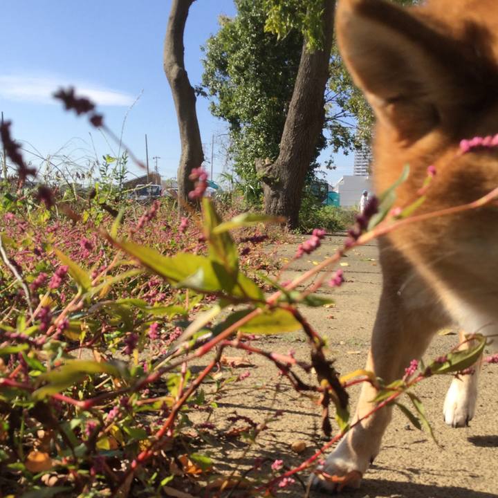 8408931f 3c01 423e a2c7 28a4a5b65fca 1573090271557