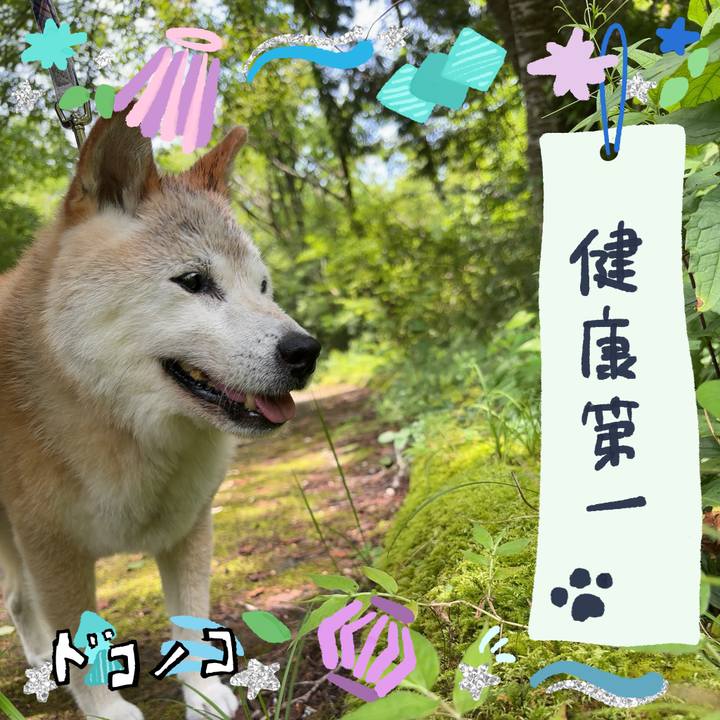 8408bdf9 1e91 43ac b9b8 b61eb370e127 1721335020928