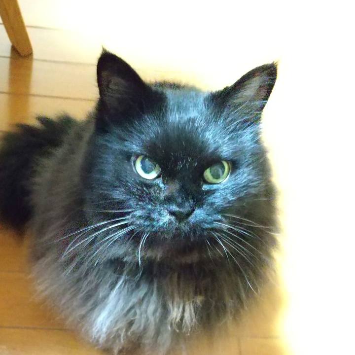 8408ca5d 1982 4861 b2a7 aef077217ac8 1697716541710