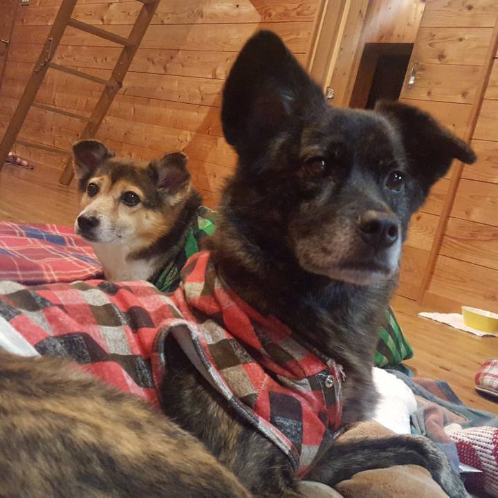 8408d747 6976 4c25 9153 c4211d45508c 1511269797840