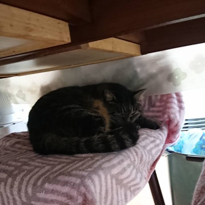 8408f988 3aa5 4c36 a10b 65d9c5e02e0c 1639974347114