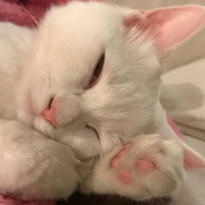 84095321 2a9c 49af 82d1 8dacf72280cc 1511869979626