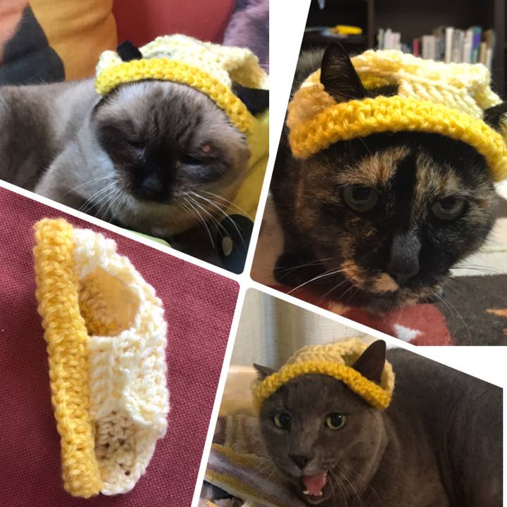 840956bb 592f 4300 8a03 bbe4bf0442cd 1570189597684