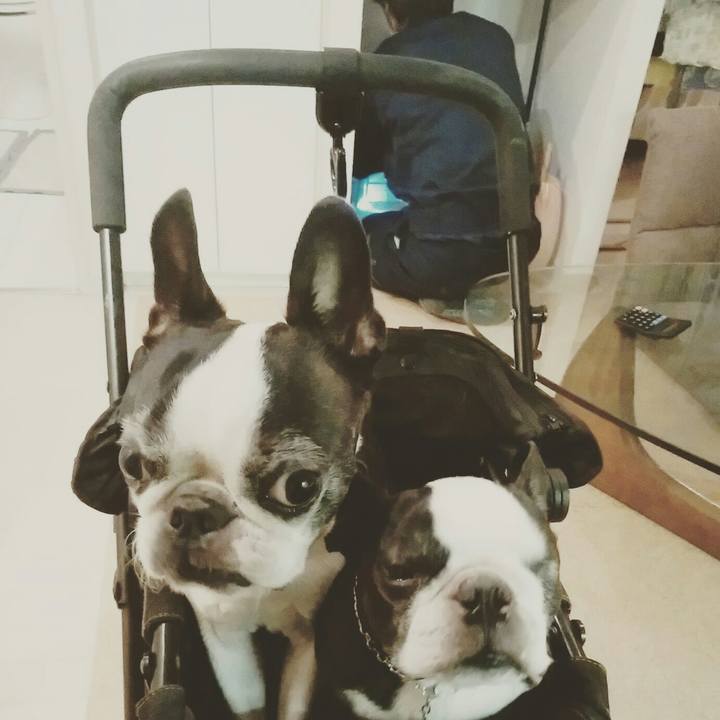 84096559 6633 4ad3 9e1f 22fb2e4fec3b 1513512874159