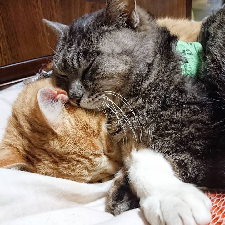 84096c72 0a0f 4fbc 8716 bc3db7cac649 1587559104336