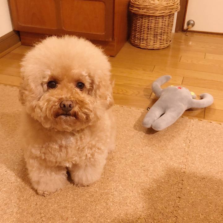 840988b9 b890 4ff8 9943 470a0c9c7be7 1510526336221