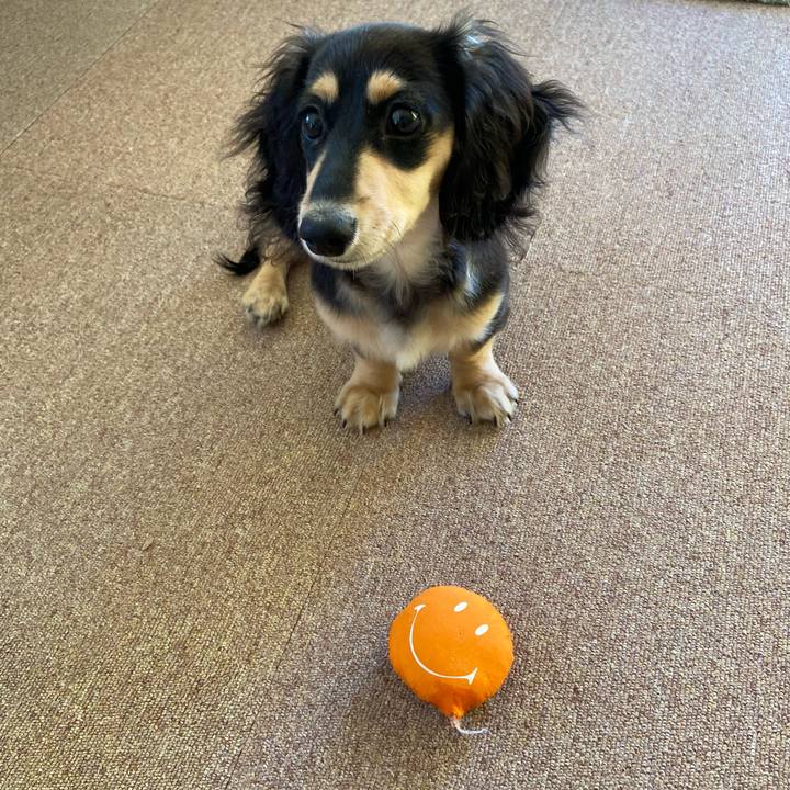 84098f7d d2fd 4ade a658 35da568f0f3f 1671493183001