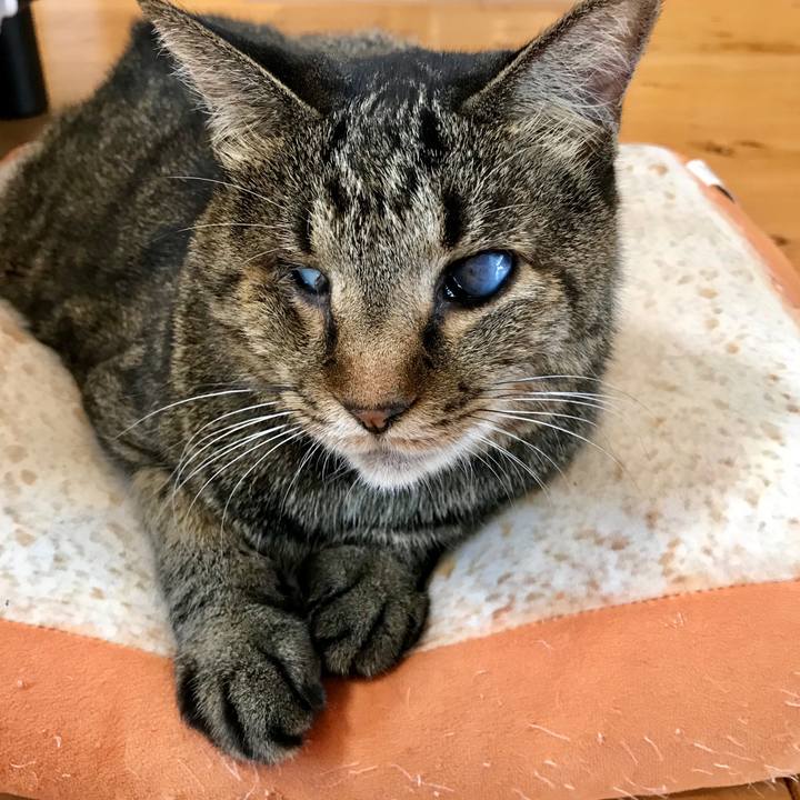 8409a428 fdf7 4e8c 8c92 415c45d1a39b 1570323242381