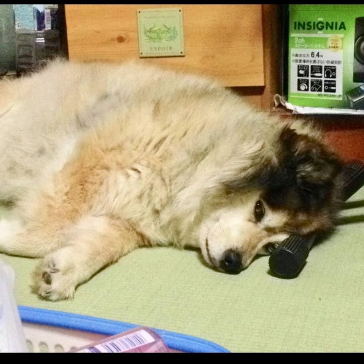 8409a61b 3c82 43bf aef3 30af386e51a0 1585244316848