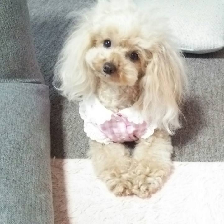 8409b1f5 0e46 4d7a 8683 0ed221c0e5e4 1561690623947