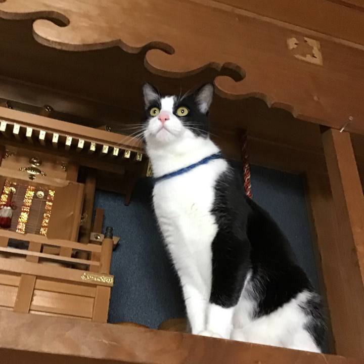 8409e9b5 7ffb 4ac6 8f9a cd5c634dcc7c 1701172656677