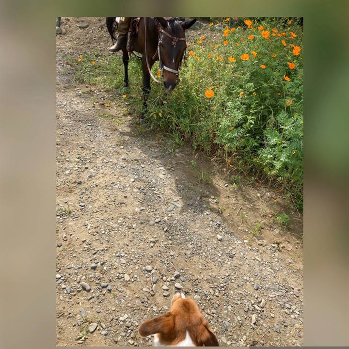 840a05d0 62c5 454f bf78 61e8b328a1f5 1633141524369