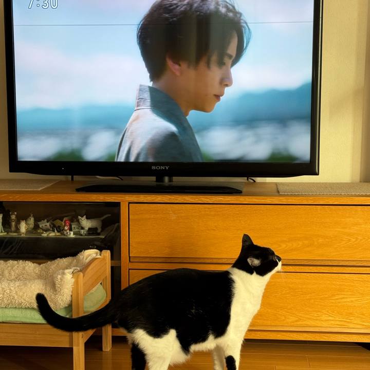 840a079a 0388 4109 b04c 69e7b6ed9f33 1762471492208