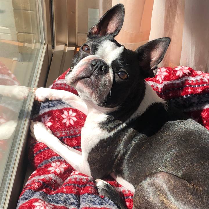 840a0c2d 3be9 44ce b2c7 bf6699b30923 1601806555346