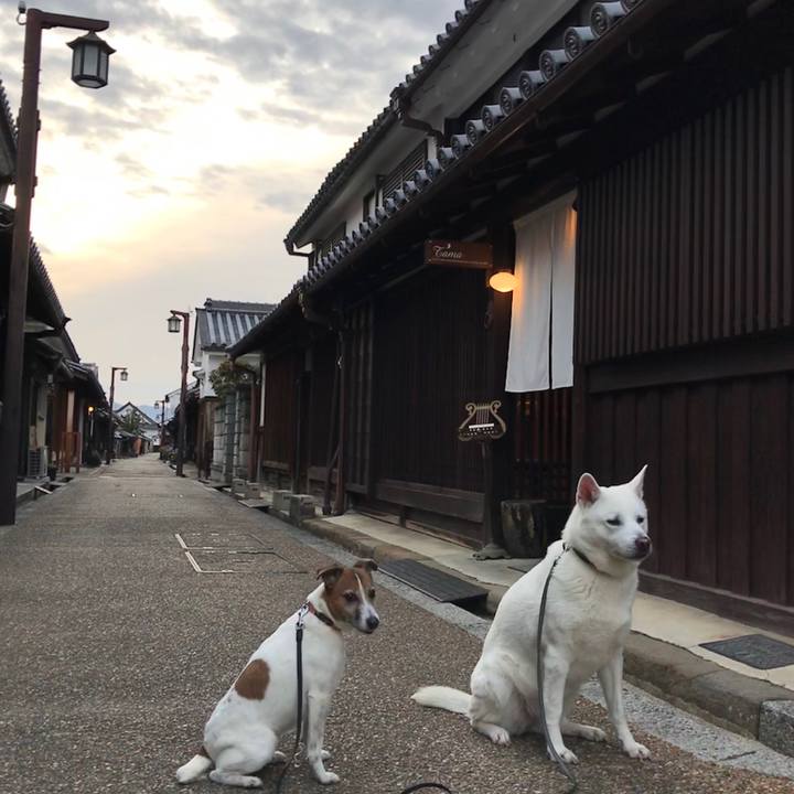 840a1f5c 9760 4926 903d 33213c16f88f 1521366461781