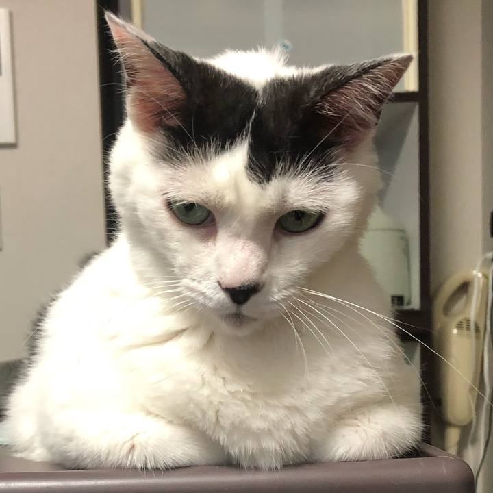 840a36d6 fd7f 43bb 8264 3f7d3a396244 1596065734941