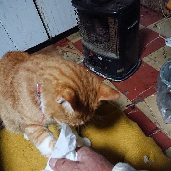 840a3bd6 cdbc 4503 be5e d9161c424f4e 1570739674820