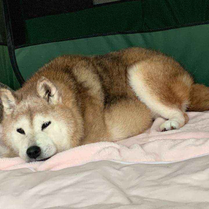 840a4cd4 5a6b 47ee ae4a 41e21ee14d93 1695344138207