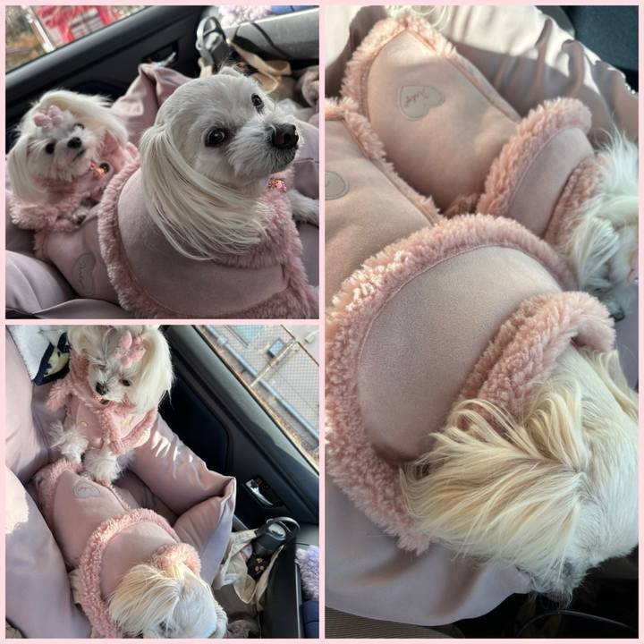 840a6d1a bf35 4d40 8273 20642239964c 1767338304593