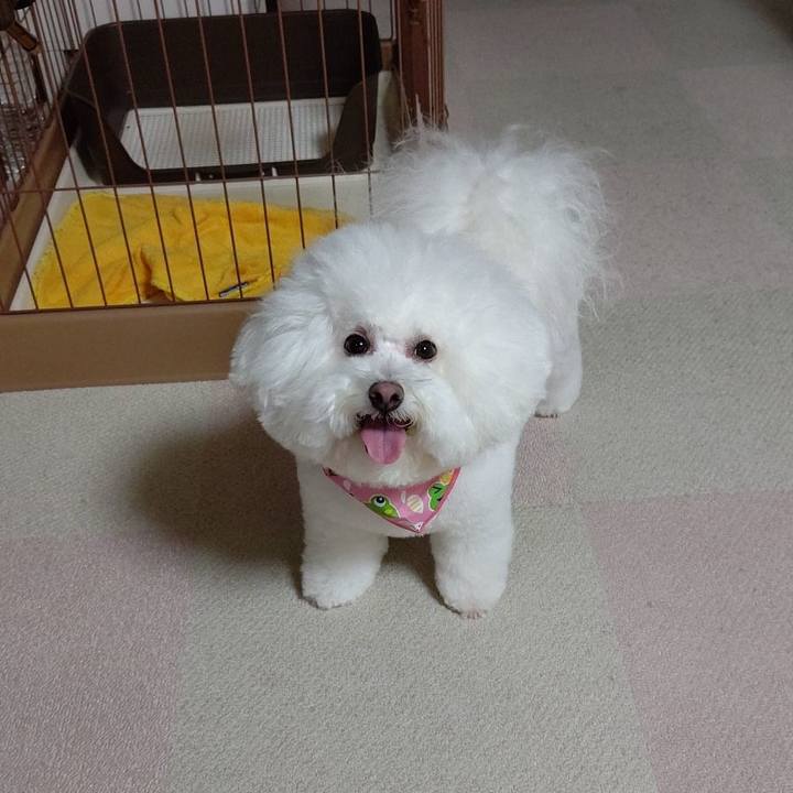 840af6fe 356d 4ce6 86b1 d9fdd19d4e49 1621941465220