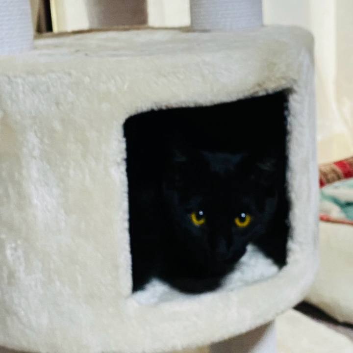 840b0095 3f78 4678 aecd 432f1912b1be 1771728997842