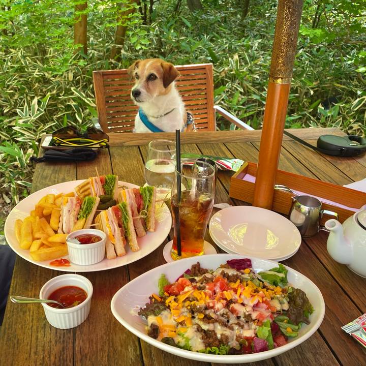 840b0712 c1ba 4c30 a3dd 2d92d01ba7e0 1717067468306