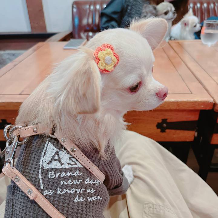 840b16e0 727b 4fb7 87b0 f55223189e97 1669455605981