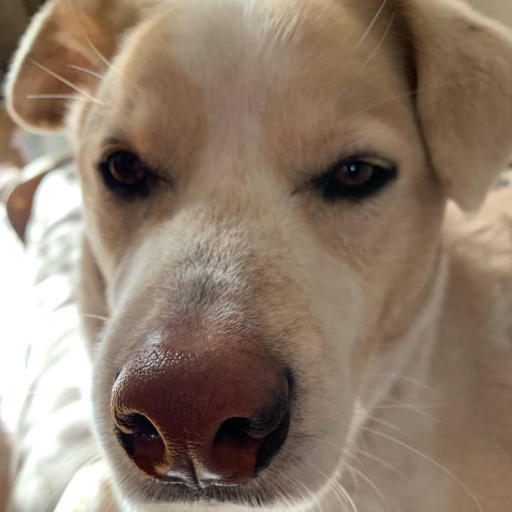 840b1747 880a 4f2b 8a63 f66f09416926 1581324479521