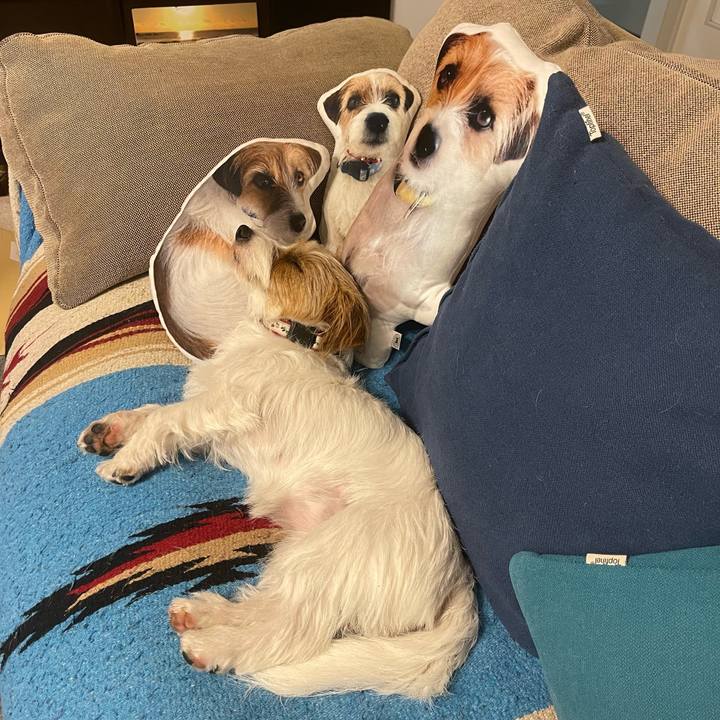 840b37ed ff2e 40f3 8e5a 24b3d1fb0a25 1771503243751