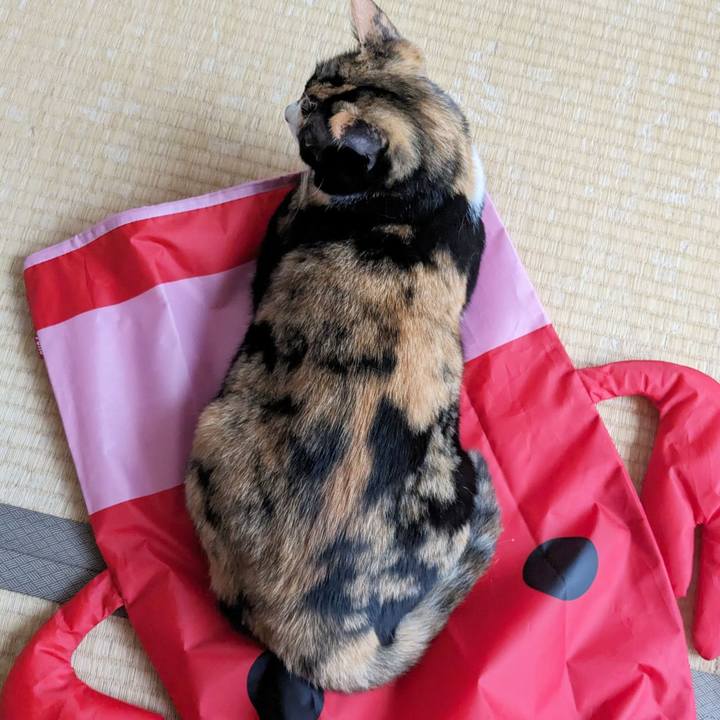 840b6fc9 cd31 4ef8 8c7f cb973e43de97 1688871670363