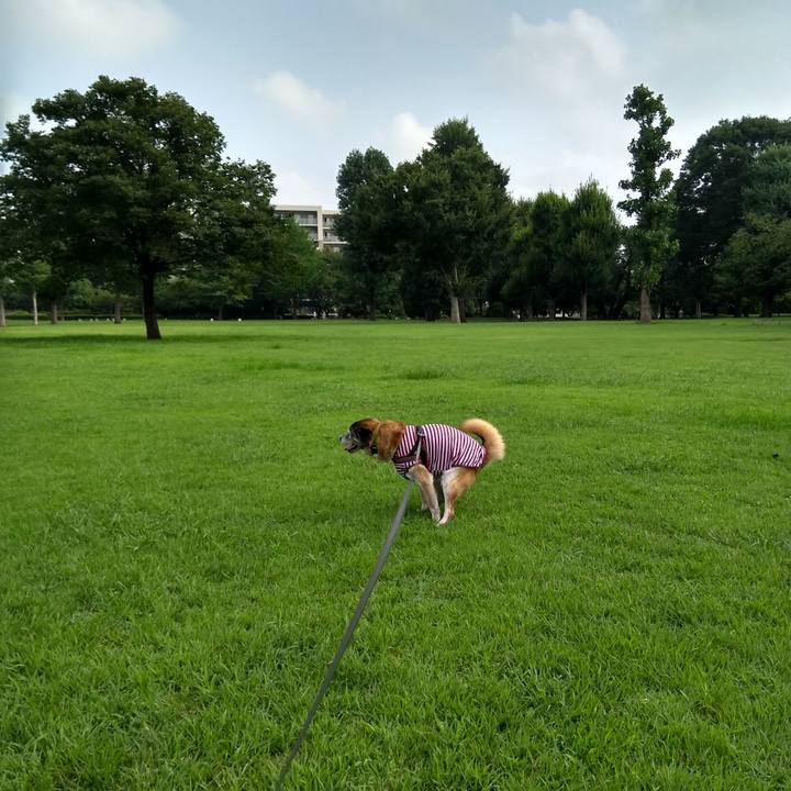 840b8386 a063 4d75 8b51 19b837c07a6a 1566171492830