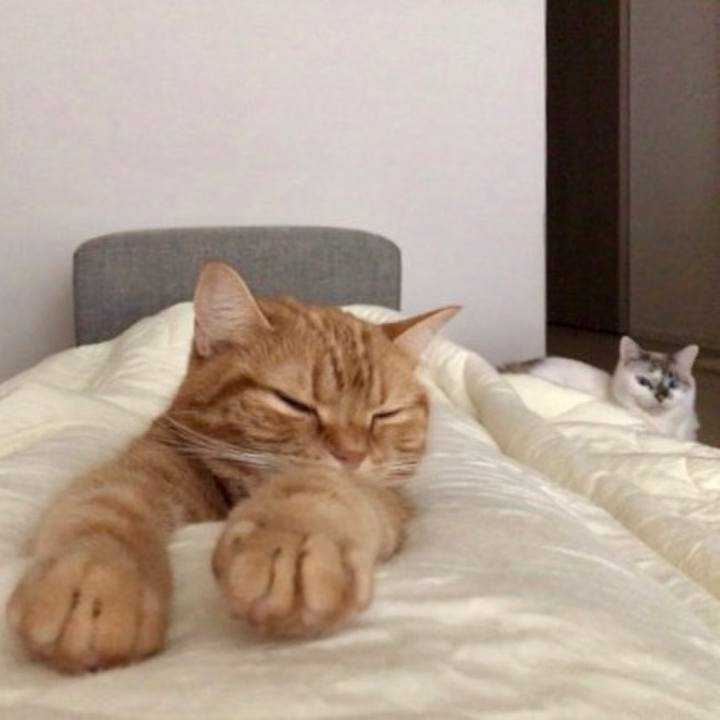 840b89dd 01c9 48c3 ad64 126c003e8647 1543966073758