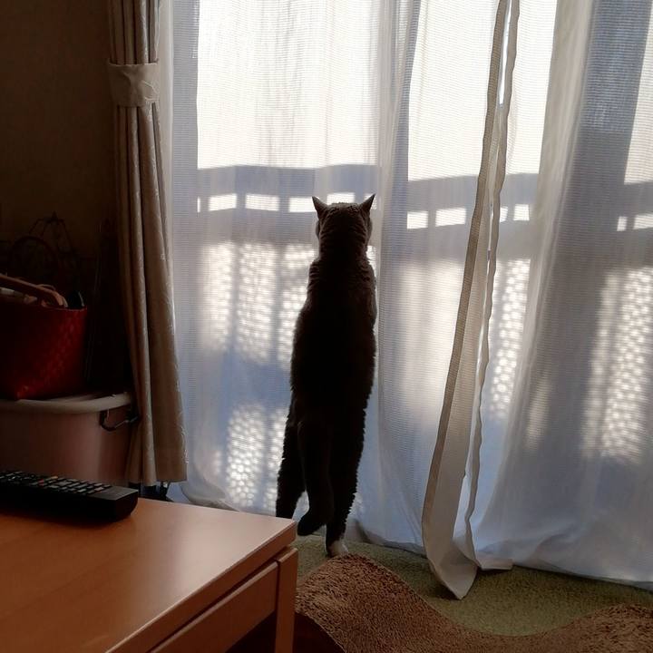 840bb128 ea3b 4d67 a42a 5d2ae868cb9b 1700432798088