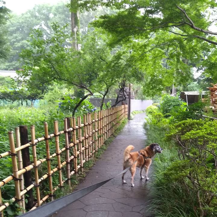 840bb9e0 4e62 449a a31c 0de03e0e7374 1561937773210