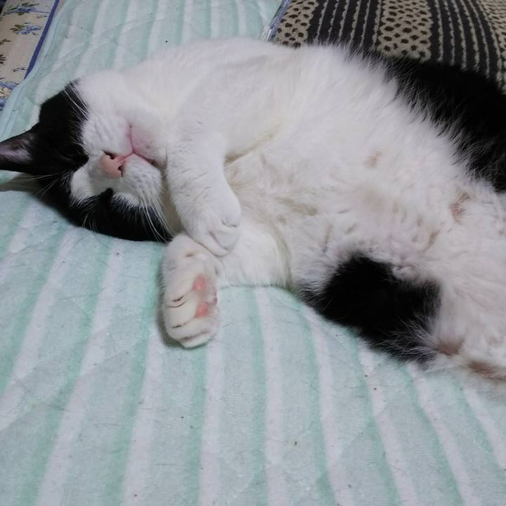 840bbaec f021 4b77 93f6 d5825eb57ced 1536496209027