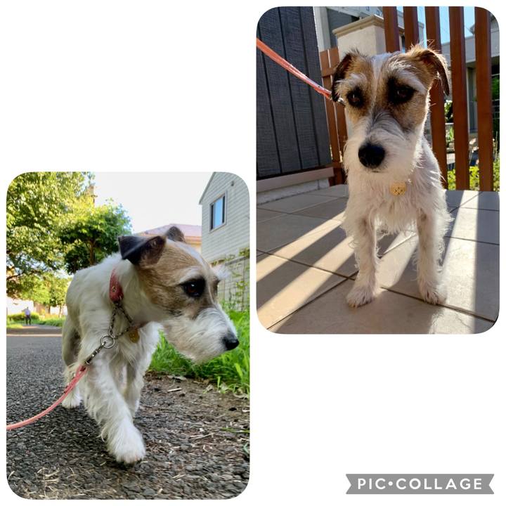 840c0b29 ab12 41b7 825b bba1fa637c8e 1624863223996