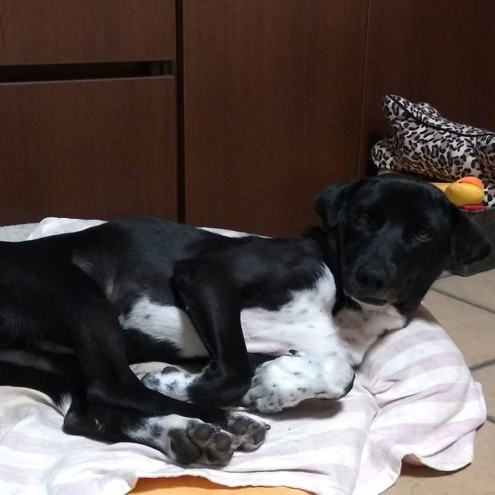 840c213e 7115 4c57 9f3e cb01a55d3860 1587224263207