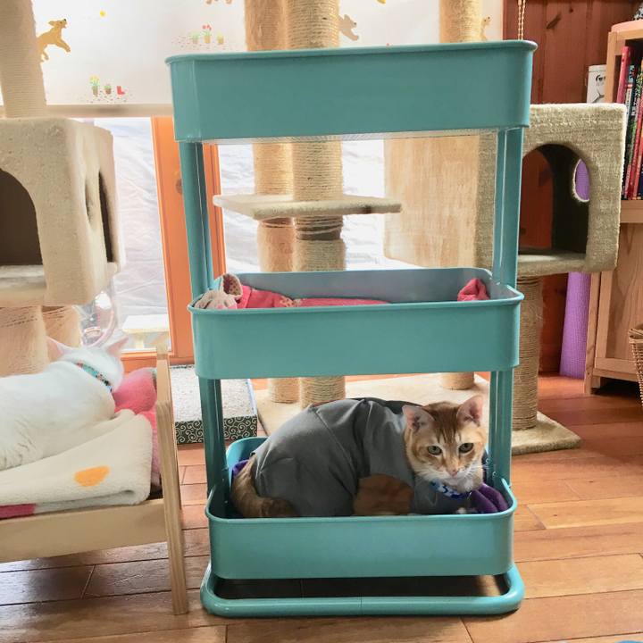 840c3f8c b7e9 4f7f 9084 27eb0159c100 1527417900355