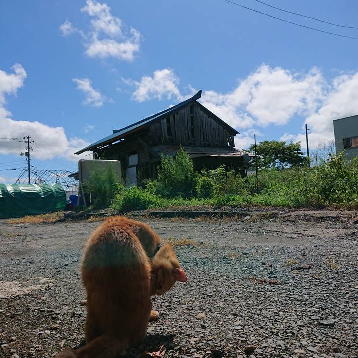 840c4596 ea7c 4517 8ff9 4427f4065494 1662261220358