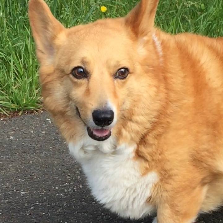 840c4793 1bc7 4d70 809b a24cff9eb733 1508132354409