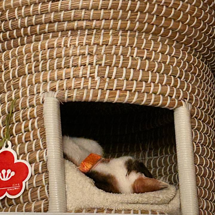 840c6539 9c38 4376 a5a0 5b09e5ed70a7 1760151728482