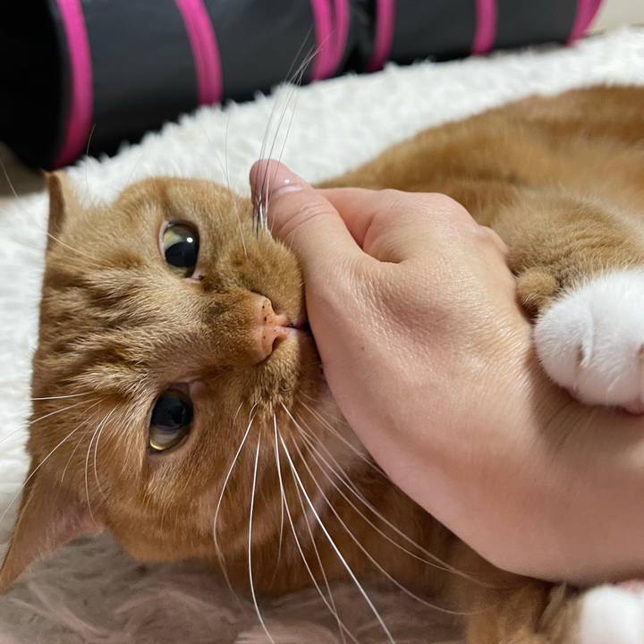 840c6701 e841 430d 9d82 245d05819a5e 1651936530469